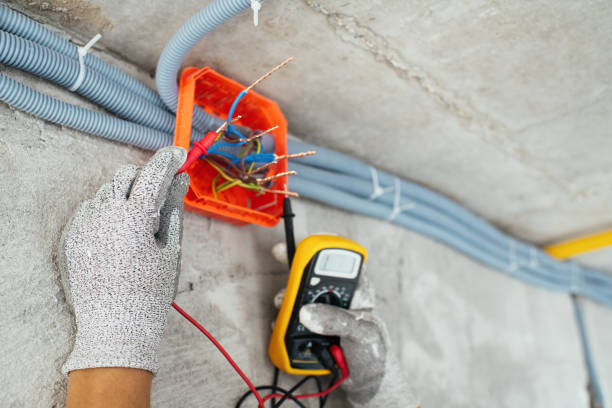 Best Electric Panel Repair  in Lorado Springs, CO